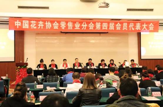 6e34ad8288afa3c6a5768ae29c4a5c19