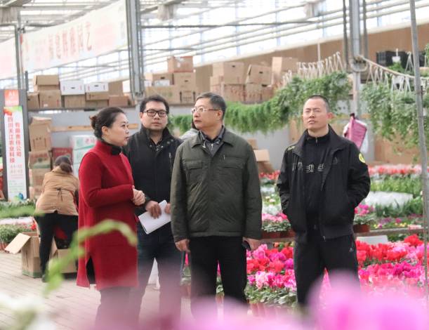 clip_image007.jpg IMG_259