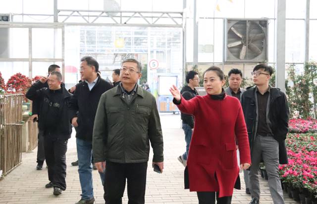 clip_image006.jpg IMG_258