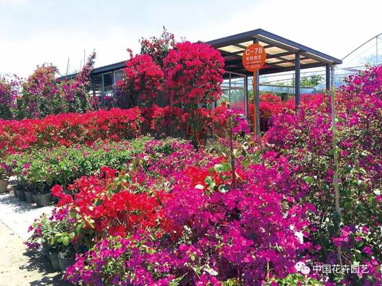 clip_image016.jpg 18df48c3487d8c6f7f1422dc15b80848